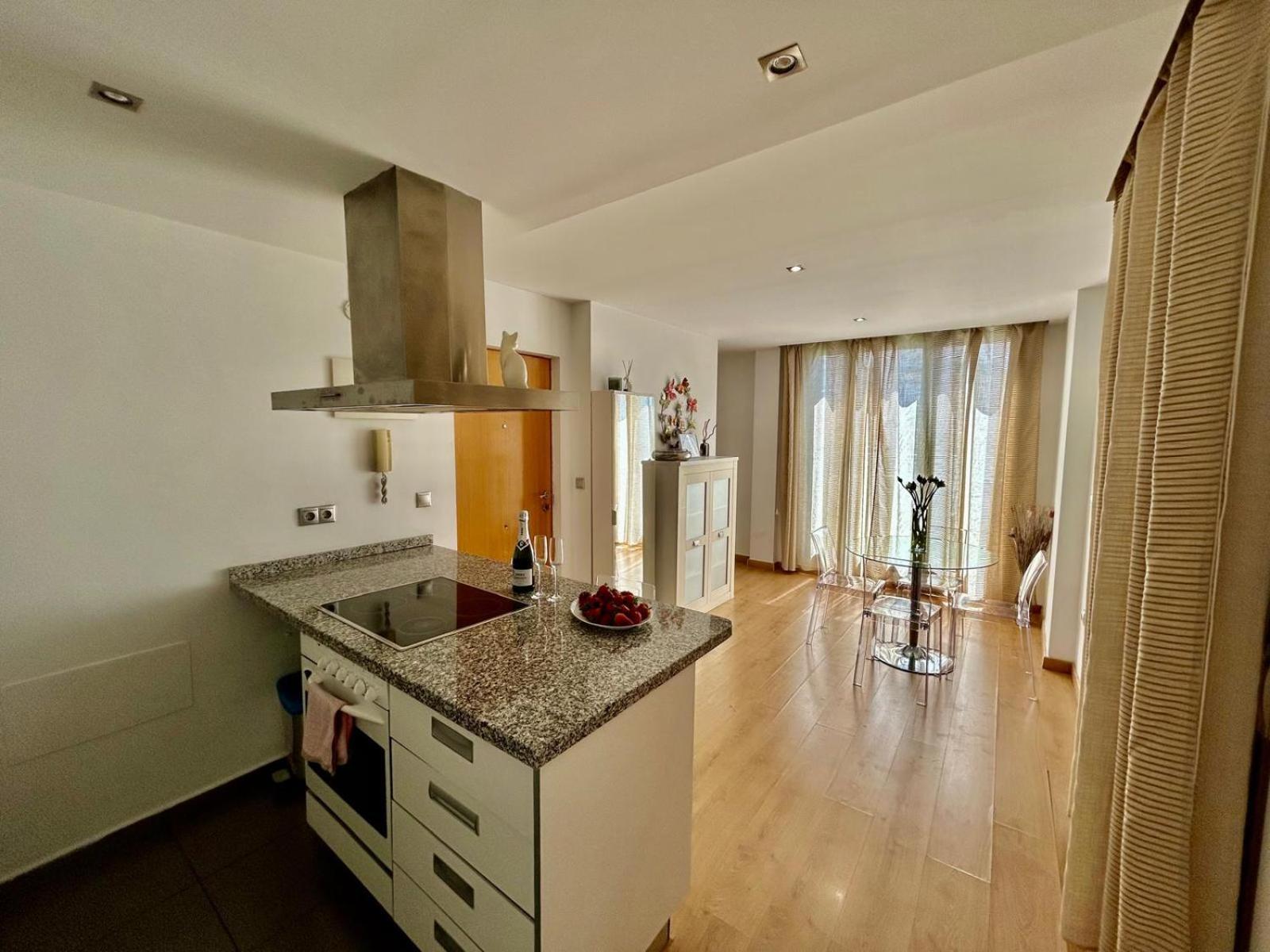 אליקאנטה 2 Big Terraces Penthouse City Center מראה חיצוני תמונה